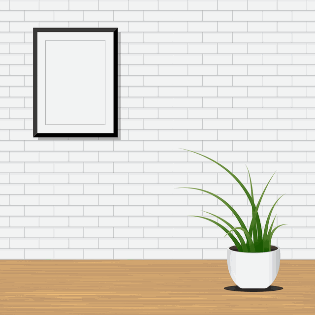 Odoo • Texto e imagen